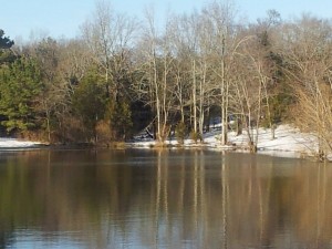 Pond in the snow